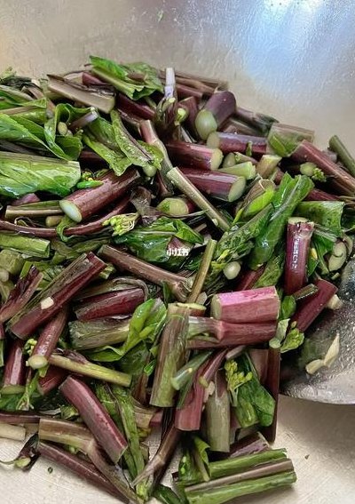 红菜苔做法（红菜苔怎么做好吃视频）