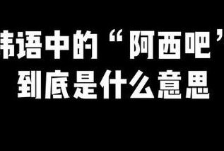 阿西吧什么意思韩语（韩语中阿西吧是什么意思）