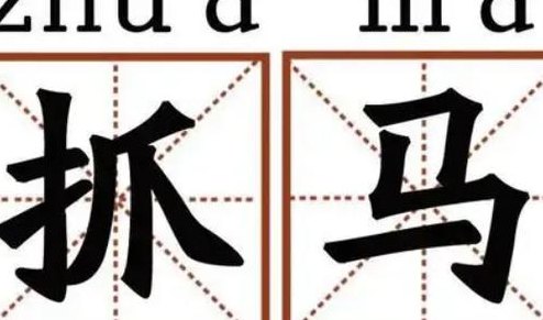 抓马是什么意思（抓马是什么意思呀）