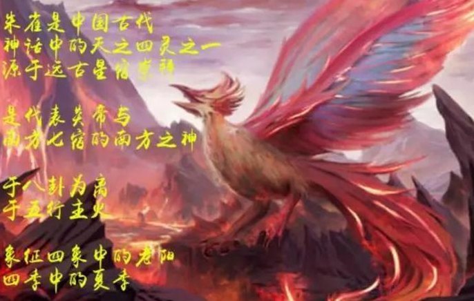 鸾鸟和凤凰的区别（鸾与凤凰的区别）