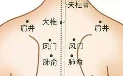 拔罐的位置图图解（拔罐的位置图图解腿部）