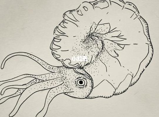 远古生物（远古生物简笔画）