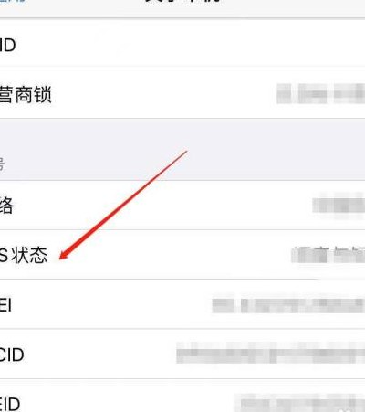 苹果手机不显示运营商（苹果手机不显示运营商怎么解决）