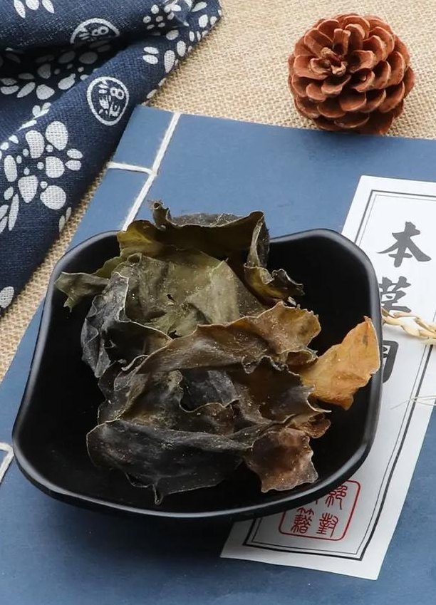 昆布是什么（昆布是什么布料）