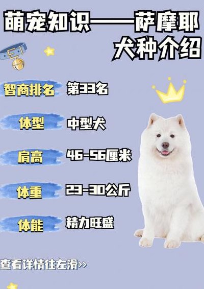 萨摩和萨摩耶的区别（萨摩和萨摩耶有什么区别）