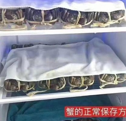 熟螃蟹怎么保存（熟螃蟹怎么保存才新鲜 生活小窍门）