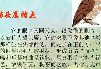猫头鹰怎么叫（猫头鹰怎么叫的拟声词有哪些）