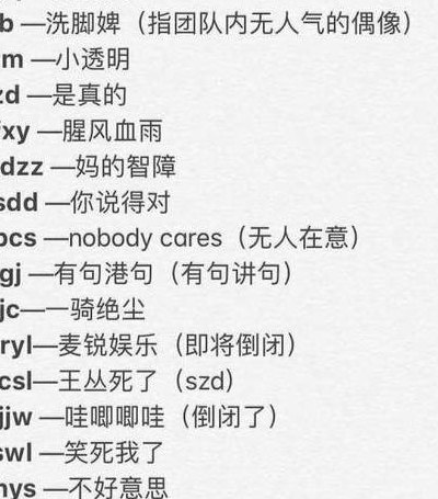 13什么意思网络用语（什么意思网络用语zqsg）