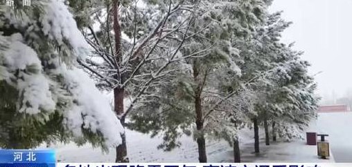 那里下雪了（现在有哪个地方下雪了）