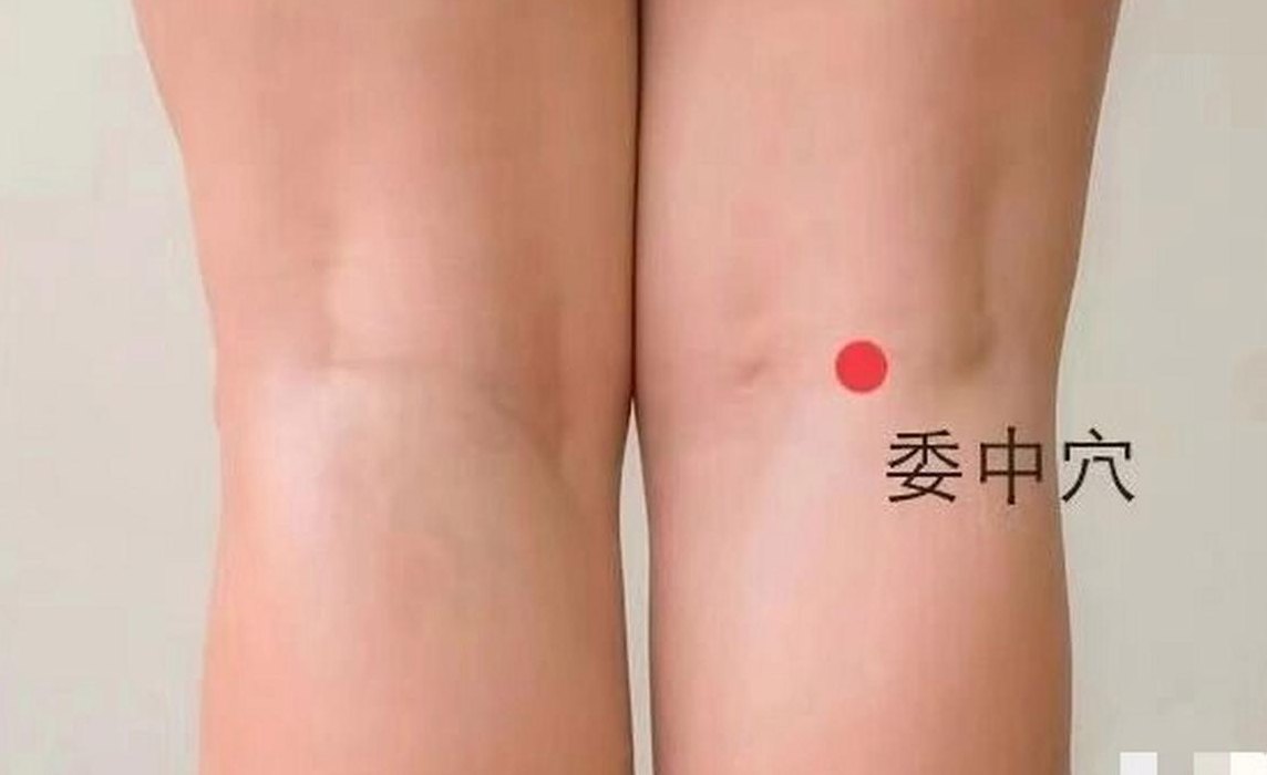 委中穴位置（委中的位置图片）