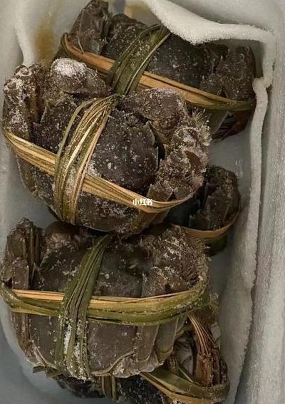 螃蟹冷冻保存多久（螃蟹冷冻保存多久还能吃）