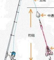 海杆鱼饵怎么挂钩图解（海杆鱼饵怎么挂钩图解大全）