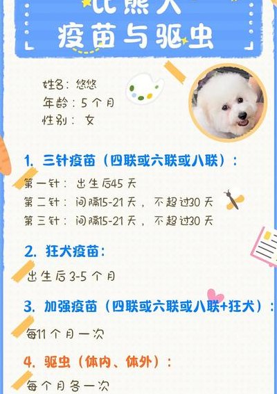 狗狗体内驱虫多久一次（小狗多久驱虫一次合适）