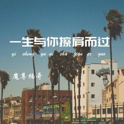 擦肩而过的句子（擦肩而过的句子经典短语）