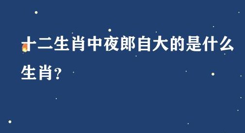 夜郎自大打一生肖（夜郎自大打一生肖打一生肖）