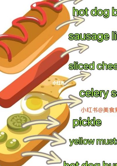 热狗英文（热狗英文简介50字）