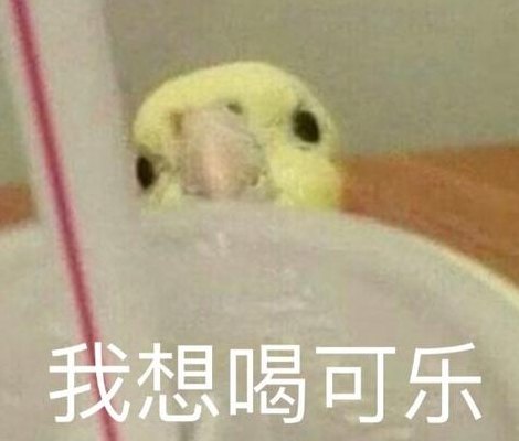 喝可乐什么意思（喝可乐是什么暗示）