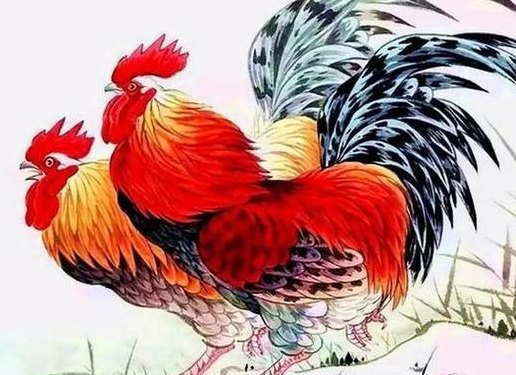 69年属什么生肖（69岁属什么生肖）