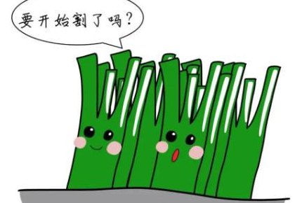割韭菜网络词什么意思（网络术语割韭菜什么意思）