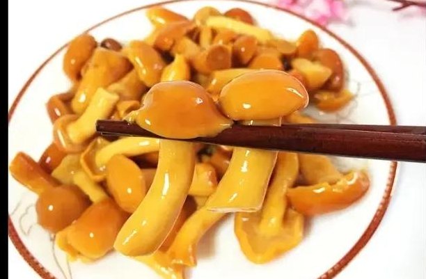 滑子蘑的做法大全（滑子蘑的做法大全家常）
