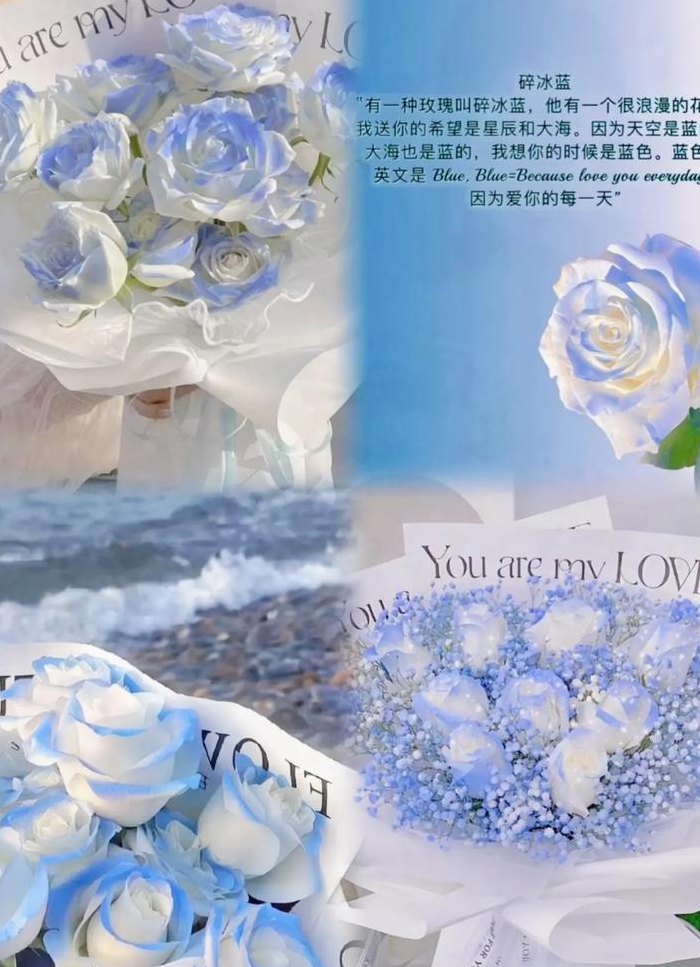 蓝玫瑰代表什么意思（碎冰蓝玫瑰代表什么意思）