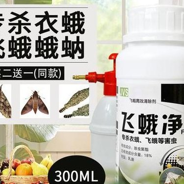 蛾蚋消灭最有效的方法（蛾蚋消灭最有效的方法 84消毒液）