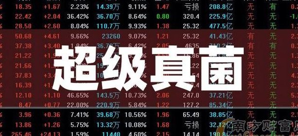 超级真菌（超级真菌的龙头股票）