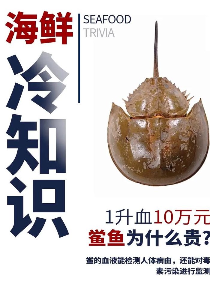 鲎怎么读（中华鲎怎么读）