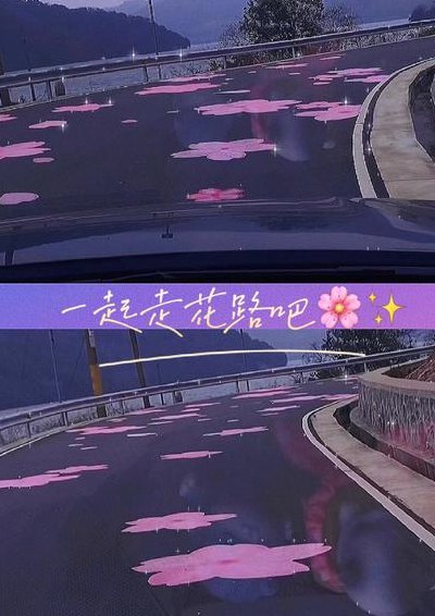 走花路是什么意思（永远走花路是什么意思）