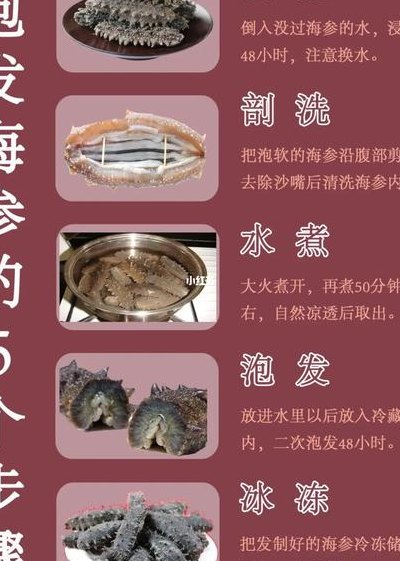 怎么泡发海参（怎么泡发海参又大又好吃）
