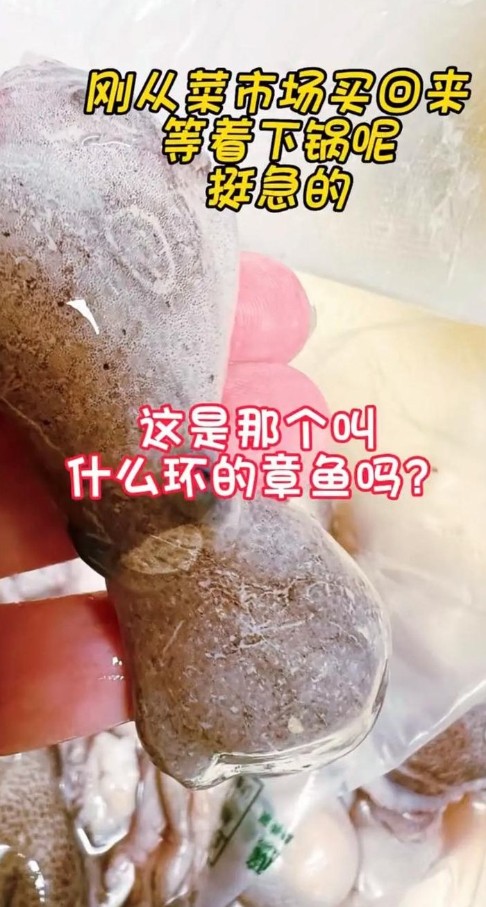 章鱼墨汁能吃吗（章鱼墨汁能吃吗有毒吗）