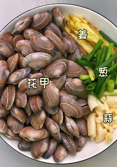 花甲哪个部位不能吃（花甲哪个部位不能吃视频讲解）