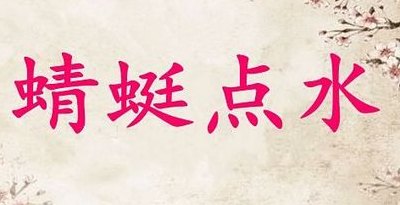蜻蜓点水的意思（蜻蜓点水的意思和造句）