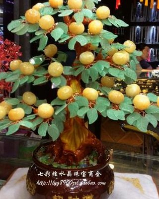 金桔树的寓意（金桔树的寓意与风水）