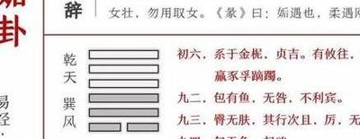天乩是什么意思（天乩是什么意思和含义）