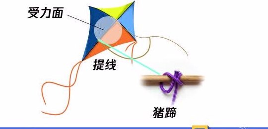 老鹰风筝线怎么绑图解（老鹰风筝绳子怎么系图解）
