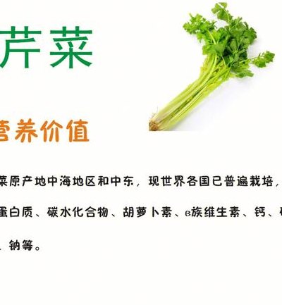 芹菜的功效与作用（芹菜的功效与作用及食用方法）