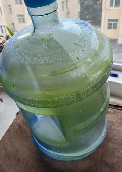去除水桶青苔小窍门（如何去除水桶的青苔）