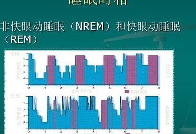 睡眠与休眠的区别（睡眠和休眠一样吗）