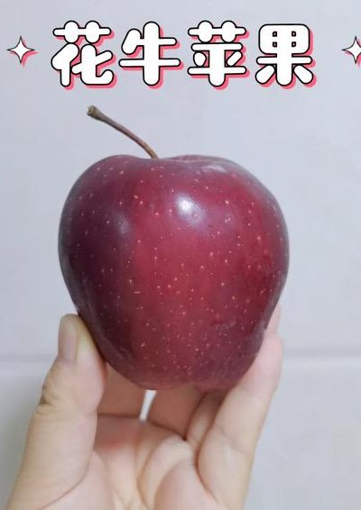 蛇果为什么叫蛇果（蛇果为什么叫蛇果不叫）