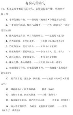 有关莲的诗句（有关莲的诗句歇后语俗语）