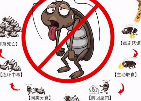 蟑螂怕什么味道不敢来（蟑螂怕什么味道不敢来新闻）