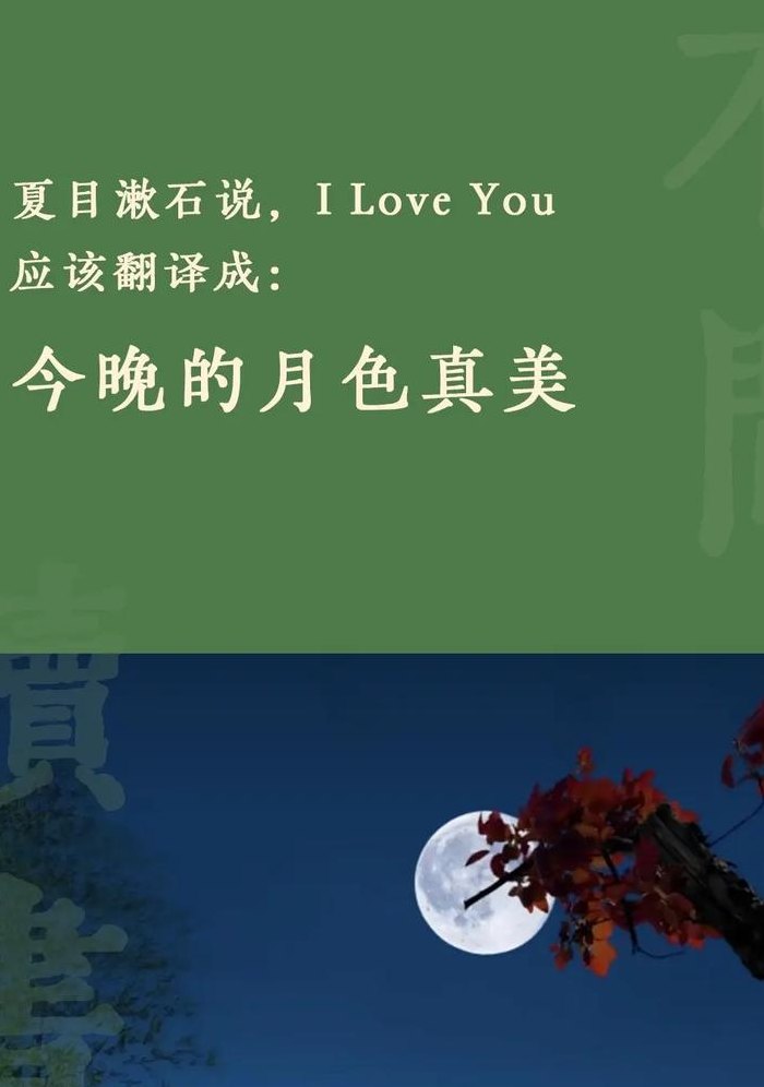 今晚的月色很美下一句（今晚的月色很美下一句是什么意思）