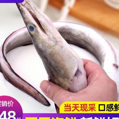 鳗鱼价格（鳗鱼价格最新行情）