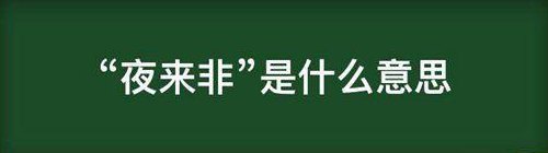 夜来非是什么意思网络（夜来非经典句子）