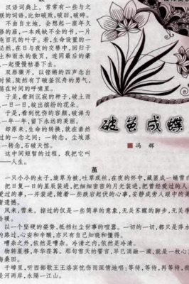 化茧成蝶的意思（化茧成蝶的意思是）