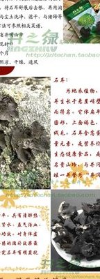 石耳图片（石耳图片 功效）