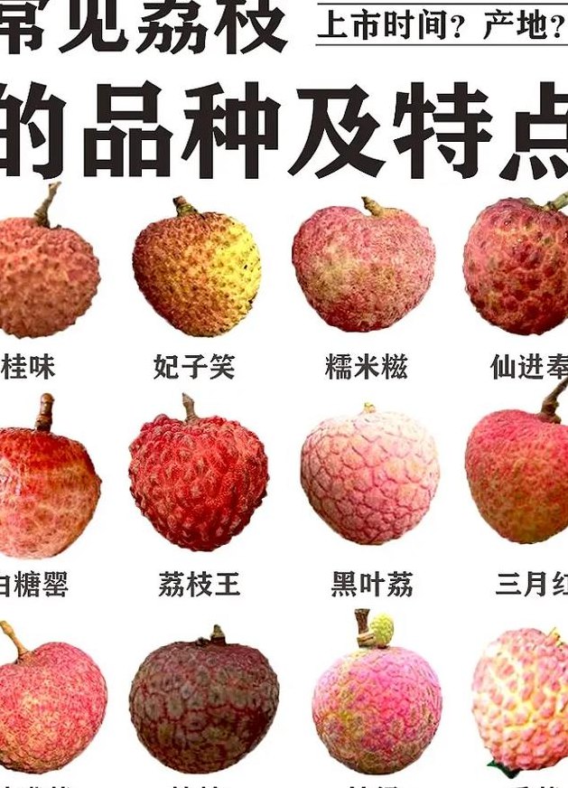 荔枝什么时候上市（荔枝什么时候成熟季节）