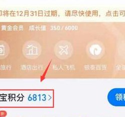 支付宝积分在哪里看（怎么查个人积分）