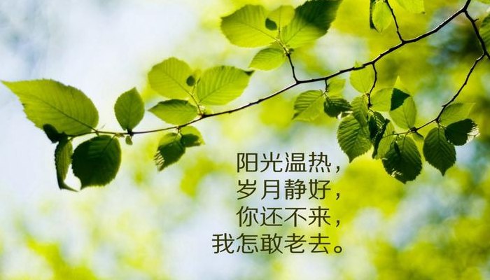 时光静好（时光静好的图片）